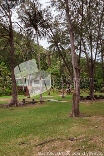 Image of tropical garden and  the road 