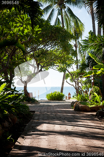 Image of tropical garden and  the road to sea beach