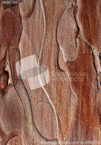 Image of Wooden texture