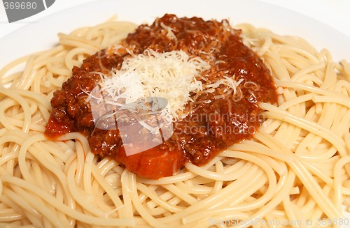 Image of Spaghetti macro horizontal