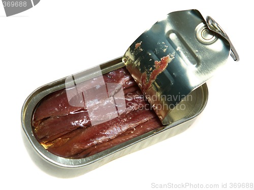 Image of Anchovies in tin