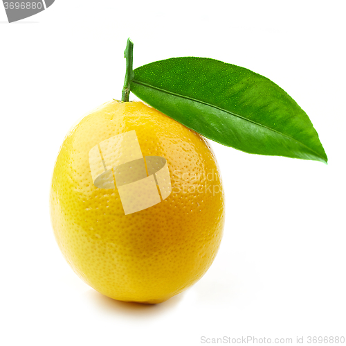 Image of fresh ripe lemon