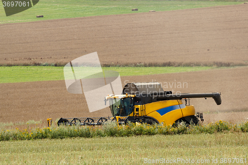 Image of combine harvesting rape