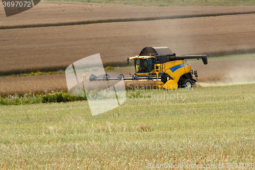 Image of combine harvesting rape