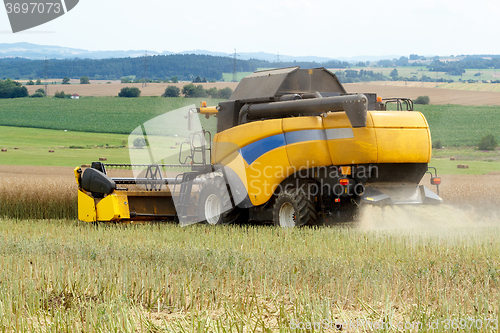 Image of combine harvesting rape