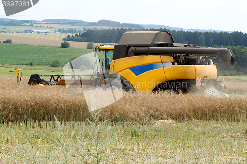 Image of combine harvesting rape