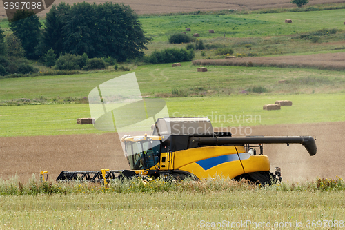 Image of combine harvesting rape