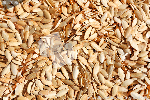 Image of Delicious pumpkin seeds 