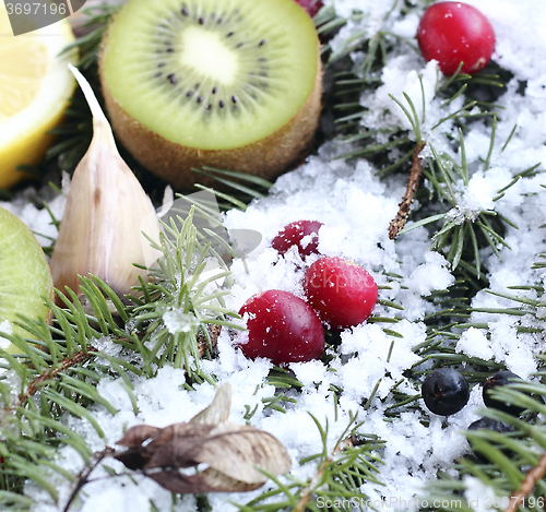 Image of Fruits in the snow