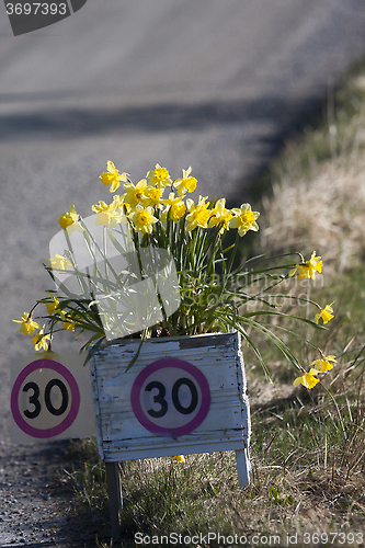 Image of speed sign