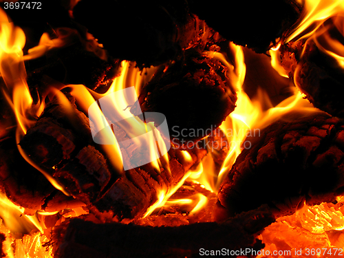 Image of tongues of flame