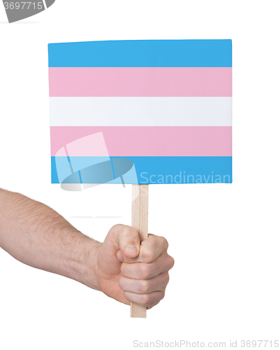 Image of Hand holding small card - Flag of Trans Pride