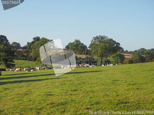 Image of View of Tanworth in Arden