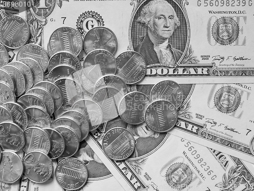 Image of Black and white Dollar coins and notes