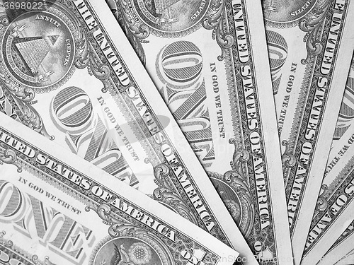 Image of Black and white Dollar notes 1 Dollar