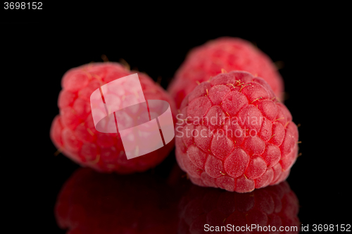 Image of Raspberries with leaves