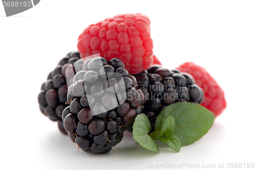Image of Raspberry with blackberry 