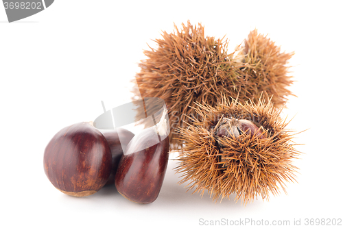 Image of Chestnuts with shell 