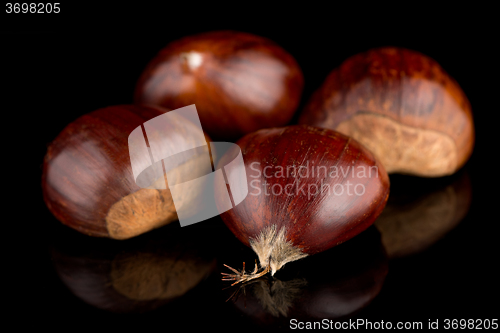 Image of Chestnuts on a black reflective background