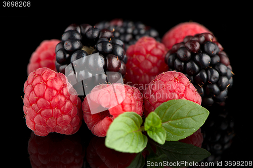 Image of Blackberry and raspberry