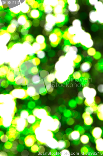 Image of Abstract green background 