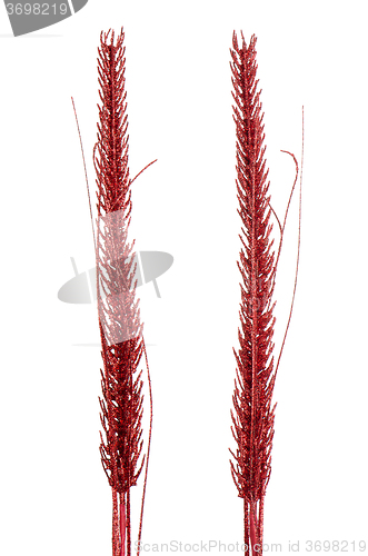 Image of Red Christmas decoration