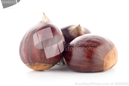 Image of Chestnuts with shell 