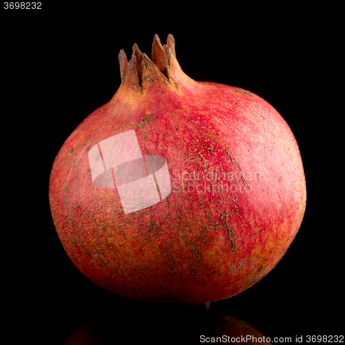 Image of Ripe pomegranate fruit