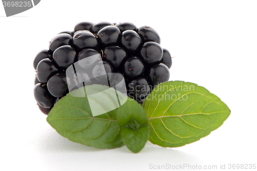 Image of Blackberries with leaves