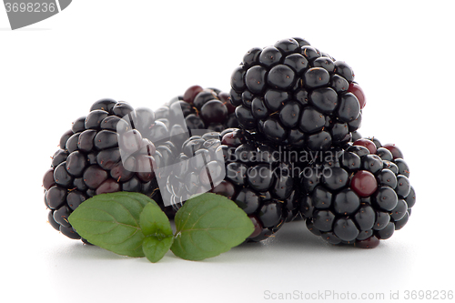 Image of Blackberries with leaves