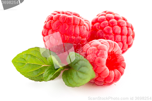 Image of Raspberries with leaves