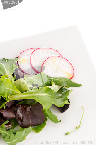 Image of Fresh salad mix