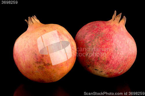 Image of Ripe pomegranate fruit