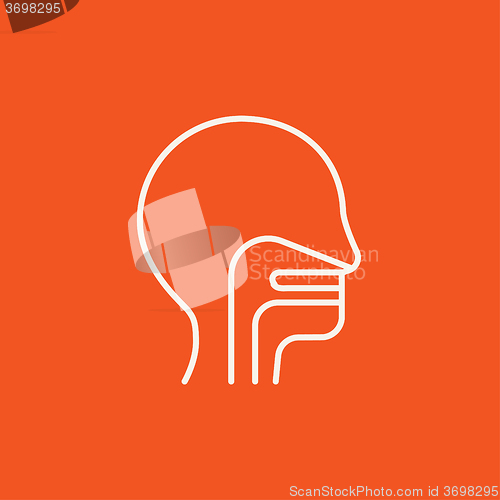 Image of Human head with ear, nose, throat system line icon.