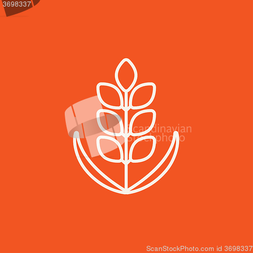 Image of Wheat line icon.