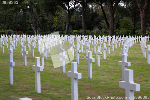 Image of NETTUNO - April 06: Tombs, American war cemetery of the American