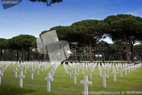 Image of NETTUNO - April 06: Tombs, American war cemetery of the American