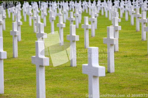 Image of NETTUNO - April 06: Tombs, American war cemetery of the American