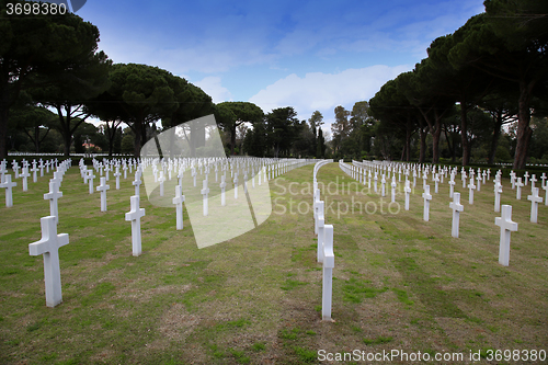 Image of NETTUNO - April 06: Tombs, American war cemetery of the American