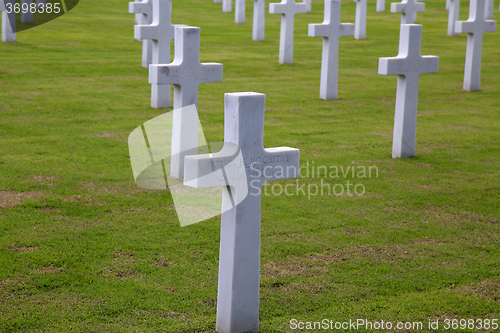 Image of NETTUNO - April 06: Tombs, American war cemetery of the American