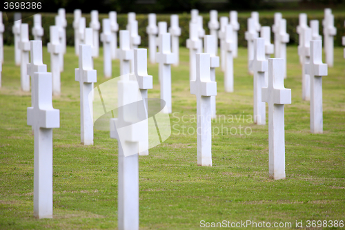 Image of NETTUNO - April 06: Tombs, American war cemetery of the American