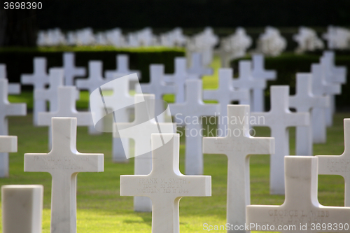 Image of NETTUNO - April 06: Tombs, American war cemetery of the American