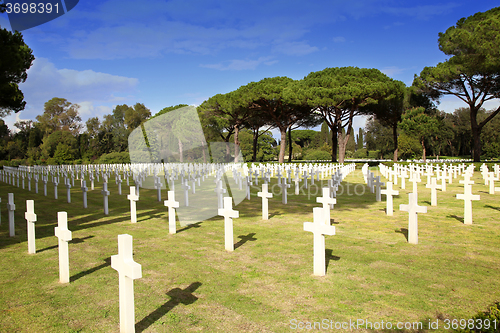 Image of NETTUNO - April 06: Tombs, American war cemetery of the American