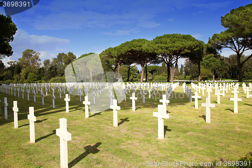 Image of NETTUNO - April 06: Tombs, American war cemetery of the American