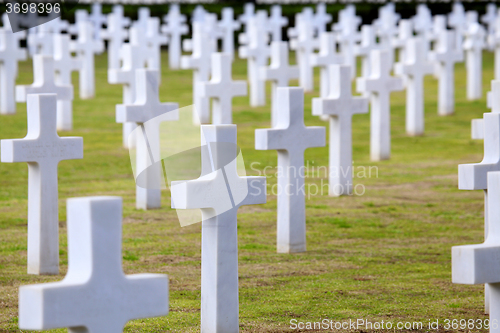 Image of NETTUNO - April 06: Tombs, American war cemetery of the American