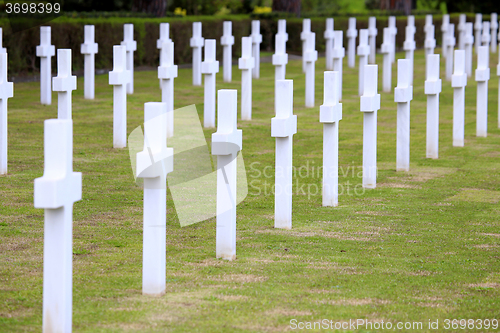 Image of NETTUNO - April 06: Tombs, American war cemetery of the American