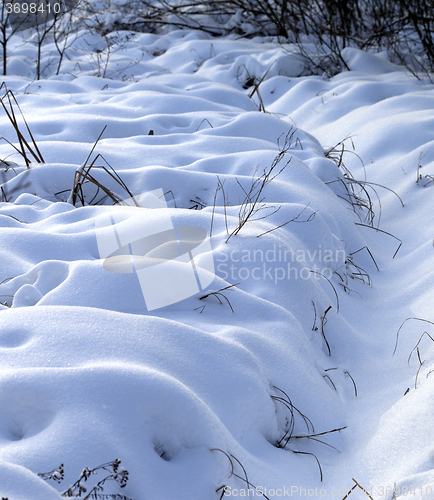 Image of Snowbound winter meadow