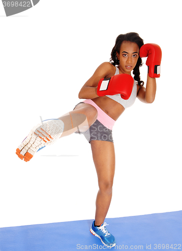 Image of Boxer woman during boxing exercise.