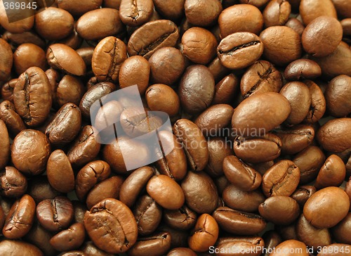 Image of Coffee Beans