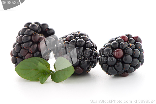Image of Blackberries with leaves